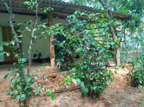 Cinnamon Forest Nature Rooms